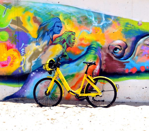 jonny-clow-509798-unsplash.jpg jonny-clow-509798-unsplash.jpg